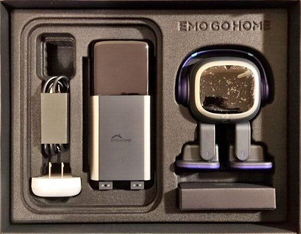 Emo go home, pet artificial.